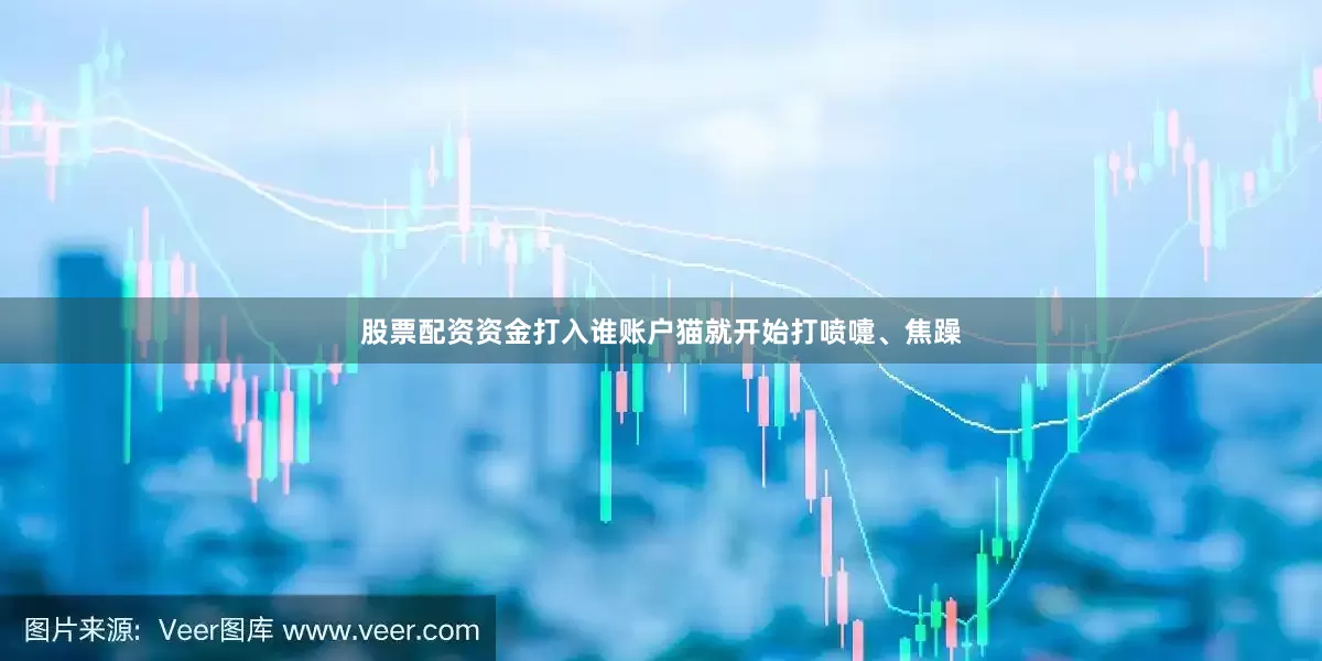 股票配资资金打入谁账户猫就开始打喷嚏、焦躁
