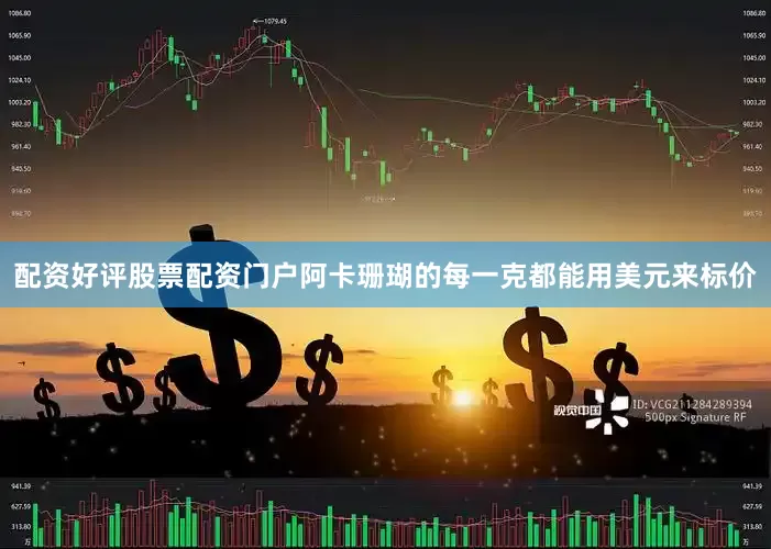 配资好评股票配资门户阿卡珊瑚的每一克都能用美元来标价