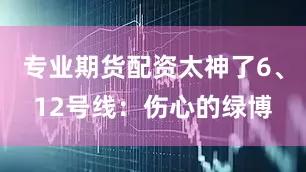 专业期货配资太神了6、12号线：伤心的绿博